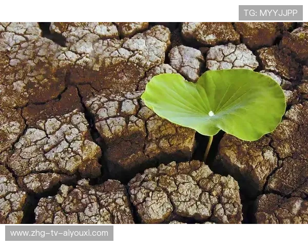 逆境重生：队伍在绝境中转危为安的故事，逆境重重