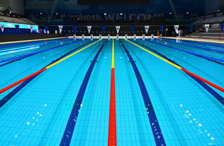 爱游戏官方论坛-体坛记忆｜福冈世锦赛蝶泳决赛，张雨霏最后5米不换气狂冲，逆袭夺金